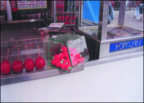Am�nagement boulangerie: Boite � charni�re en plexiglas min�ral